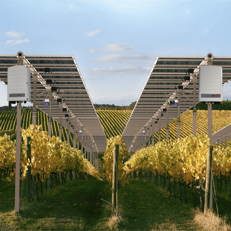 Solar na Agricultura